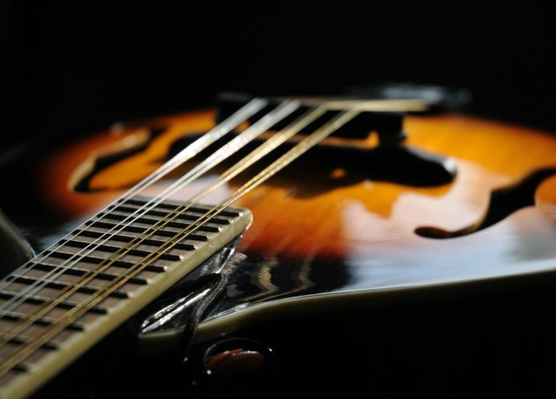 Concert de mandolines et guitares