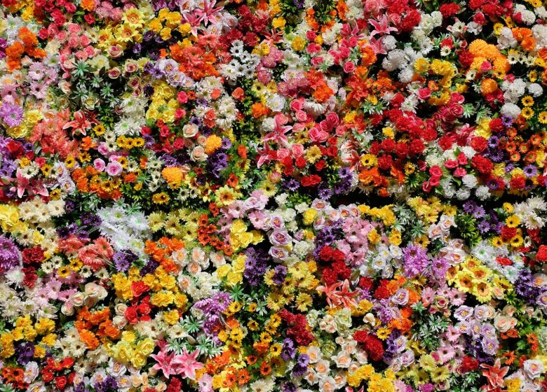 Rencontre art floral