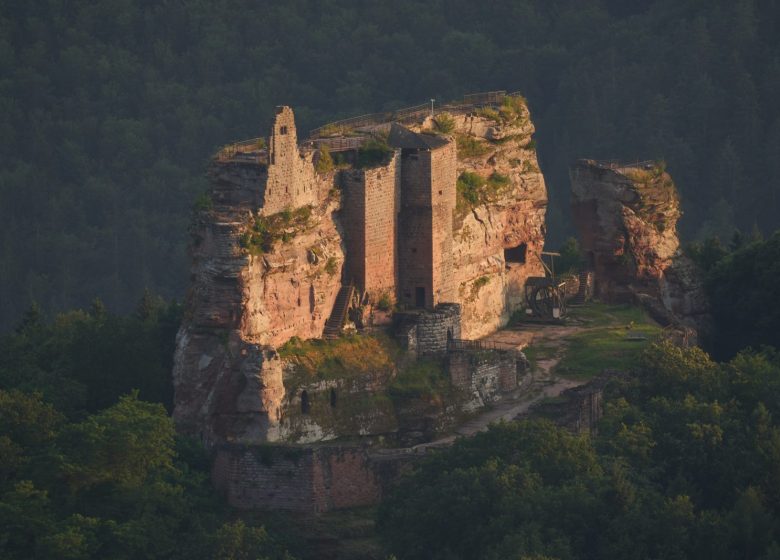 Visite : découverte du château fort de Fleckenstein