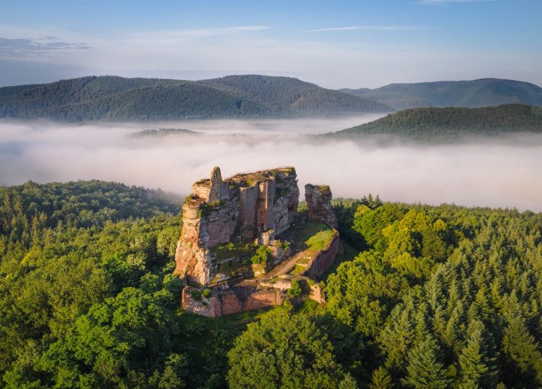 Visite guidée du château en allemand