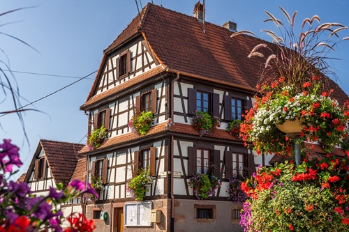 Circuit de randonnée autour de Schoenenbourg