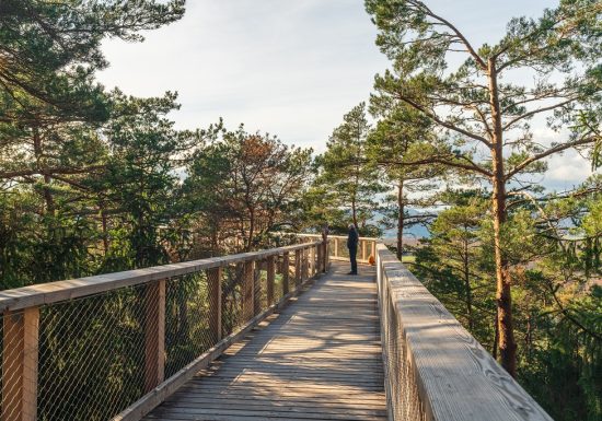 Circuit de randonnée entre le Fort de Schoenenbourg et le parking du Chemin des Cimes