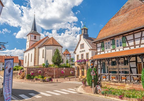 Circuit de randonnée entre poteries et gros chêne