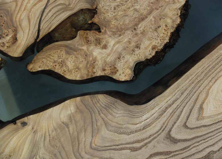 Exposition : Visions d&rsquo;arbre