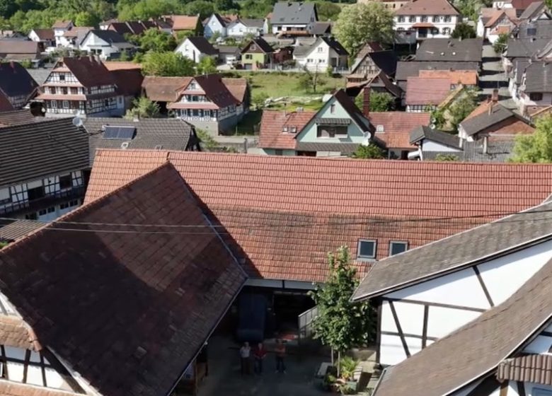 Les trésors de l&rsquo;Autre-Forêt