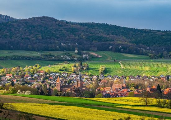 Circuit de randonnée chemin de Saint Jacques de Compostelle retour par le Geisberg