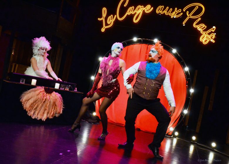 Spectacle-cabaret : Whisky Bar