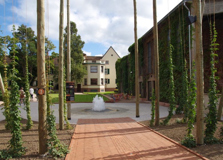 Villa Meteor