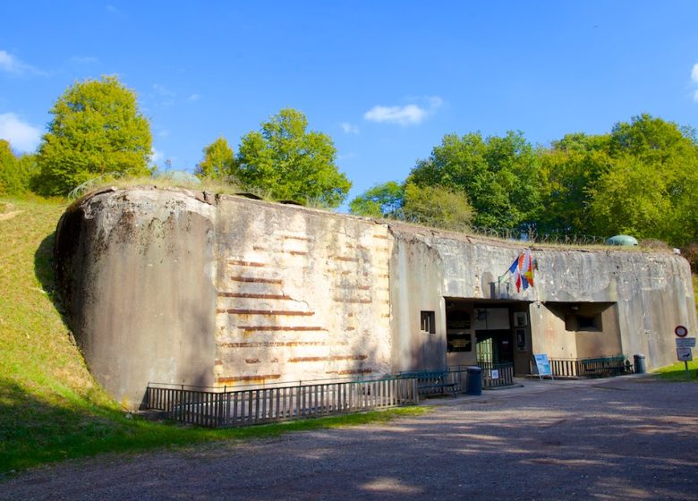 Structure of the Lime Kiln – Maginot Line