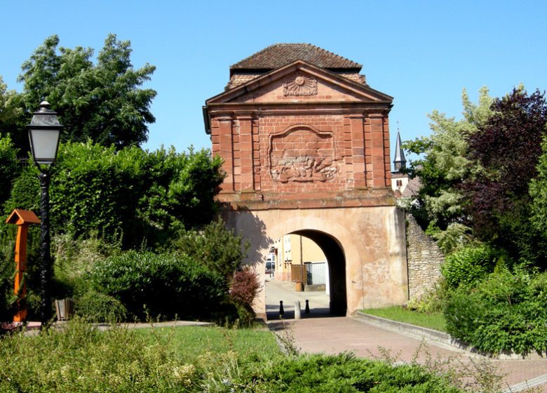 Véloroute de la vallée de la Lauter