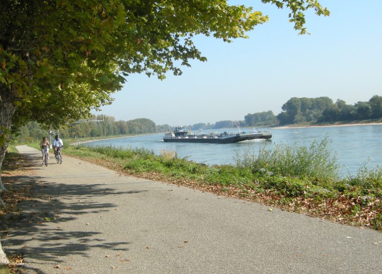 Véloroute de la vallée de la Lauter