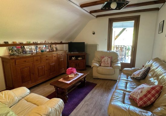 Maison de l’archéologie des Vosges du Nord