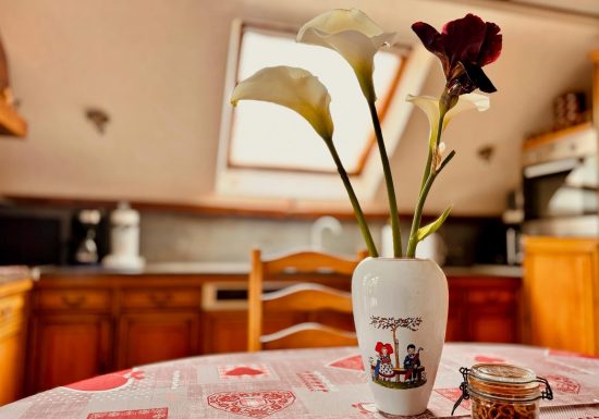 Maison de l’archéologie des Vosges du Nord