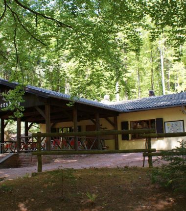 Chalet du Club Vosgien – Chalet du Wintersberg