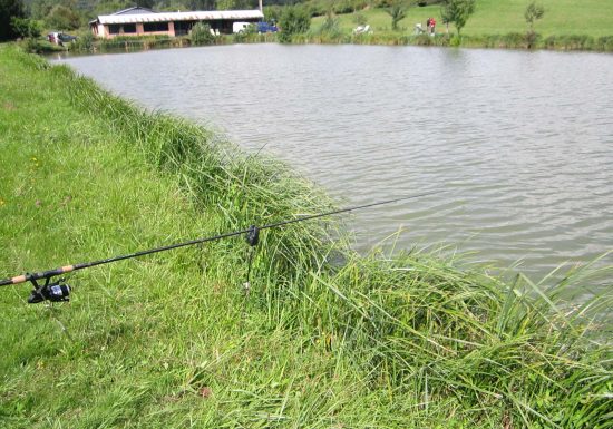 Etang  de pêche Syffersmatt