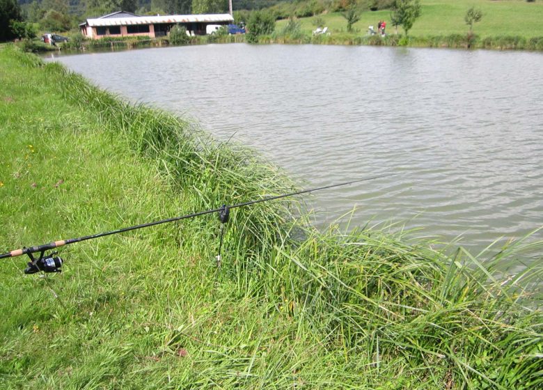Etang  de pêche Syffersmatt