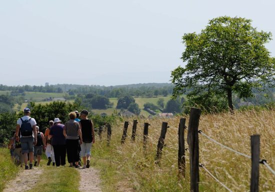 Sentier de Janus : balade au-delà du paysage