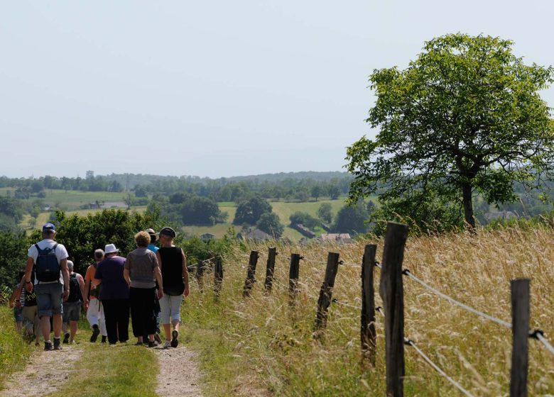 Sentier de Janus : balade au-delà du paysage