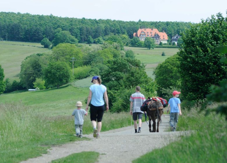 Janus Trail: Walk Beyond the Landscape