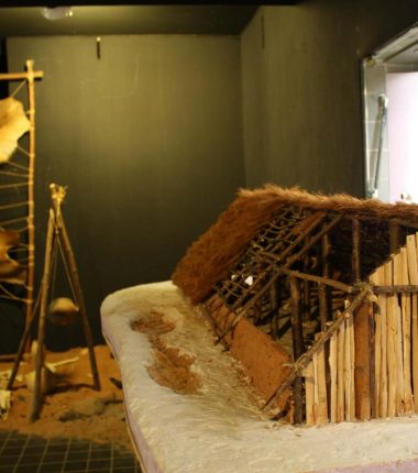 Visite commentée de la section Préhistoire