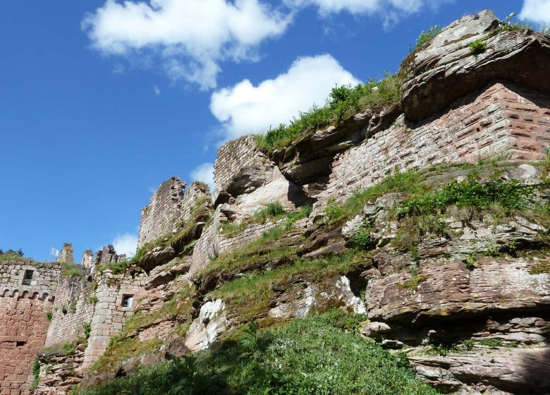 Visite guidée du château du Schoeneck