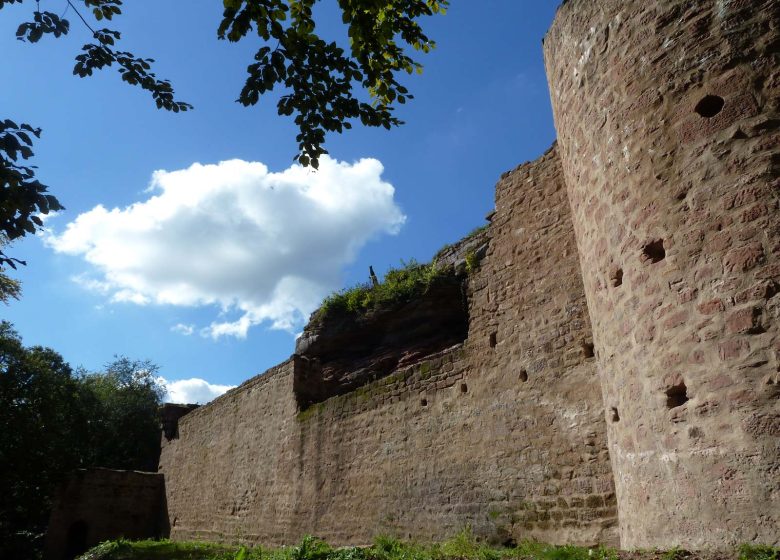 Visite guidée du château du Schoeneck