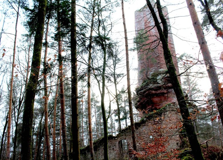 Burg Weineck