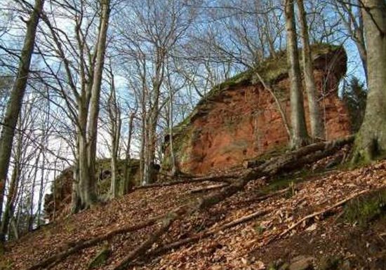 Château du Wittschloessel