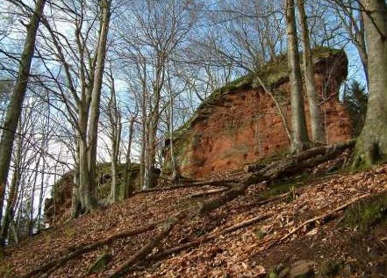 Château du Wittschloessel