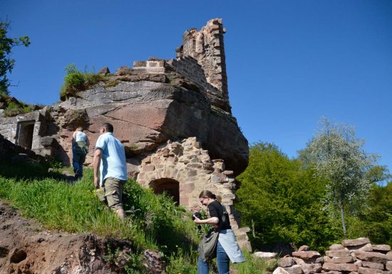 Circuit de randonnée aux châteaux du Schoeneck et du Wineck