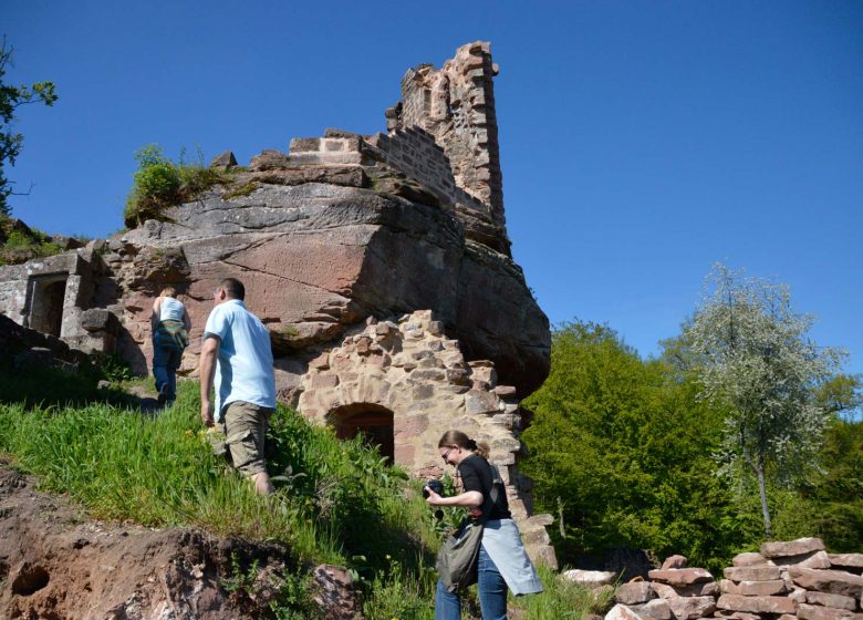 Hiking tour to the castles of Schoeneck and Wineck