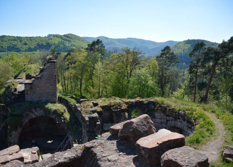 Excursión de senderismo a los castillos de Schoeneck y Wineck