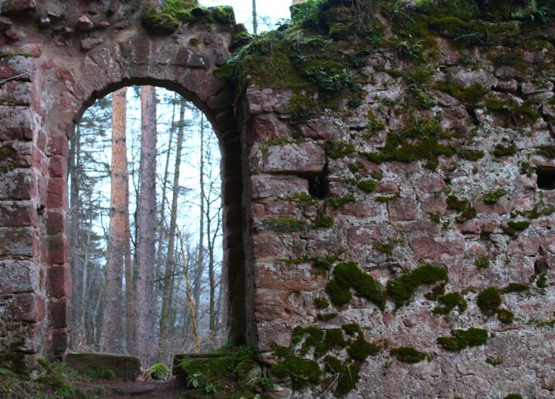 Wanderung zu den Schlössern Schöneck und Wineck