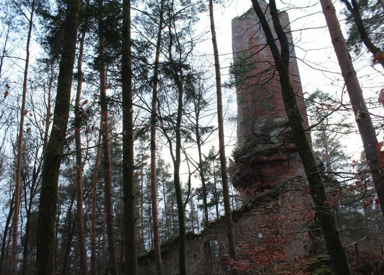 Circuit de randonnée aux châteaux du Schoeneck et du Wineck