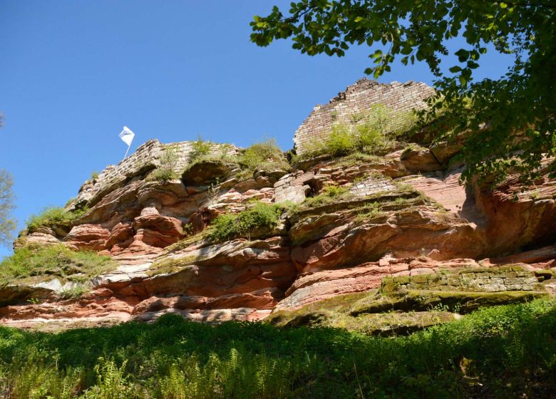 Mountainbikeroute van Schoeneck