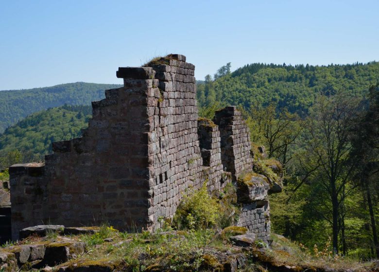 Circuit VTT du Schoeneck