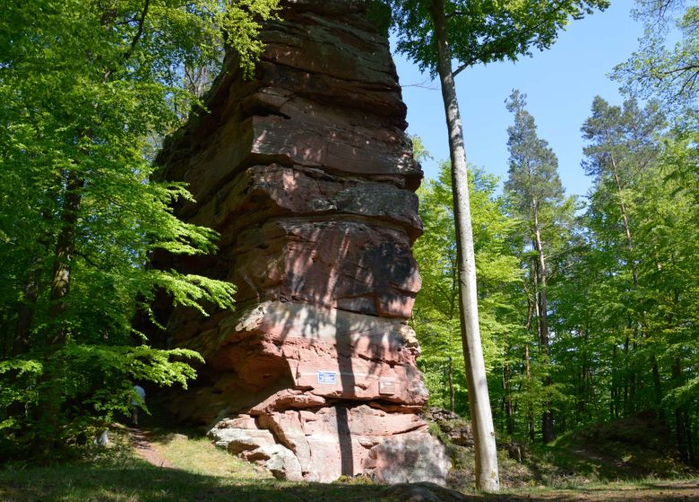 Castillo Hohenfels