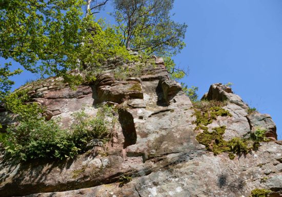 Château du Hohenfels