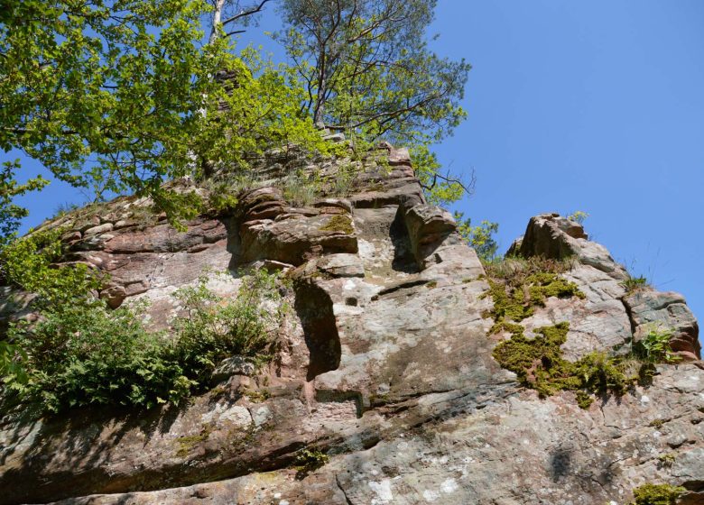 Burg Hohenfels