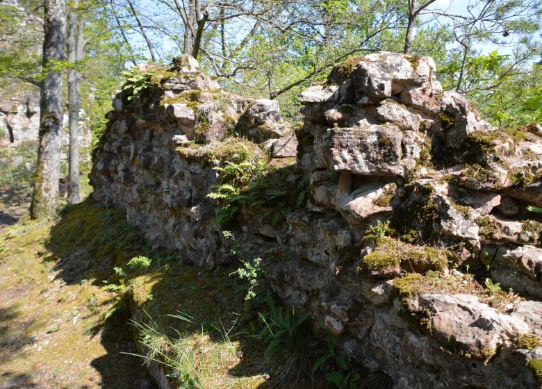 Hohenfels Castle