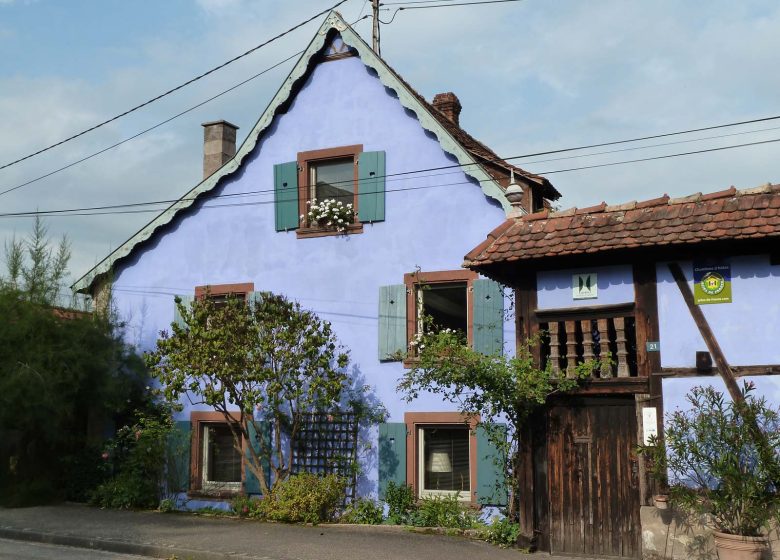 Guided tour of the Blue Farm Gardens