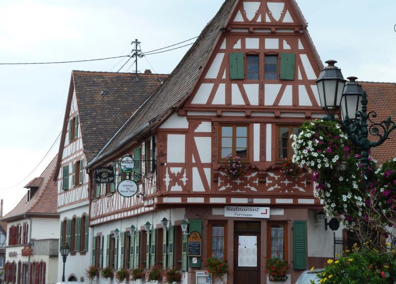 Visite commentée d’une vieille cité vigneronne : Oberbronn