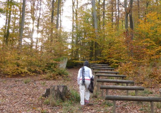 Grand Wintersberger Fitnessparcours