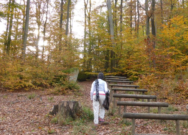 Parcours de santé du Grand Wintersberg