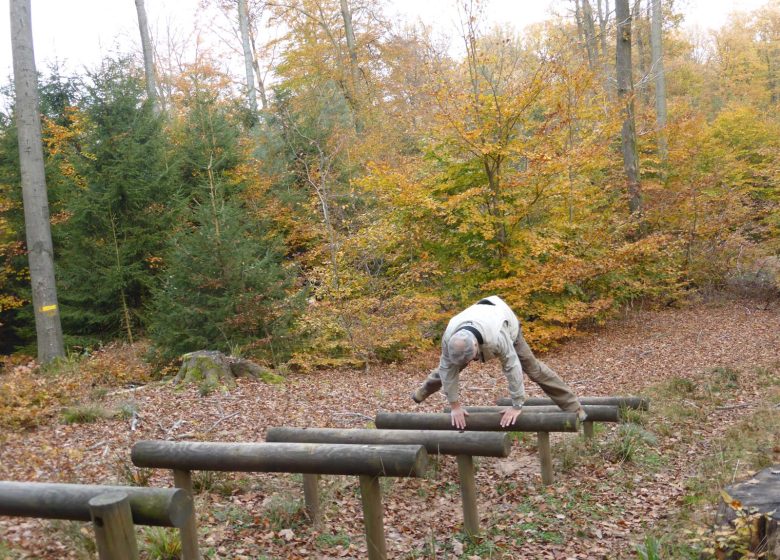 Parcours de santé du Grand Wintersberg