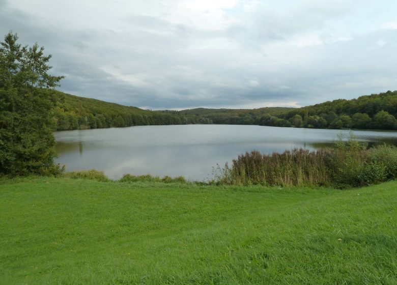 Plan d’eau – Réserve naturelle