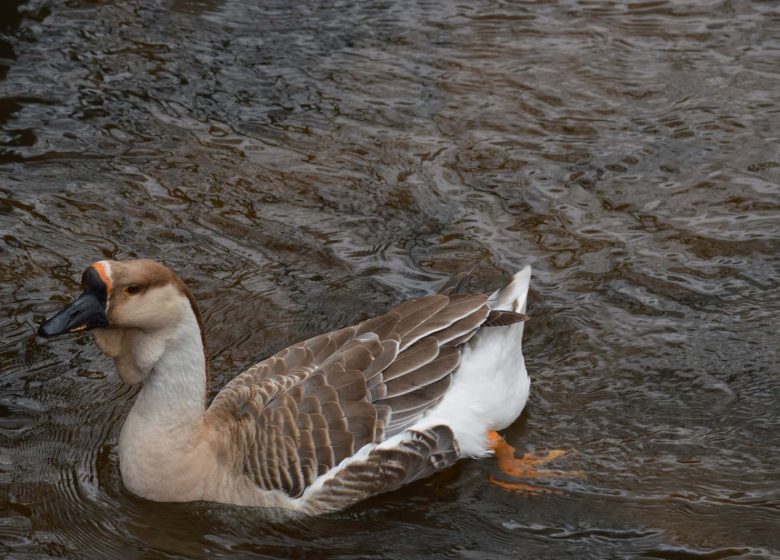 Body of water – Nature reserve