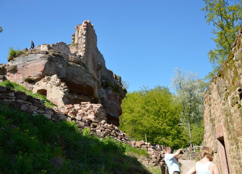 Schloss Schöneck