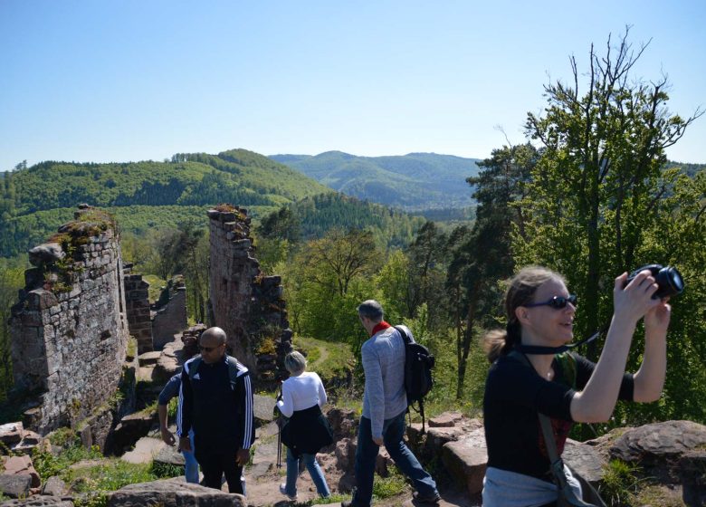 Castillo de Schoeneck