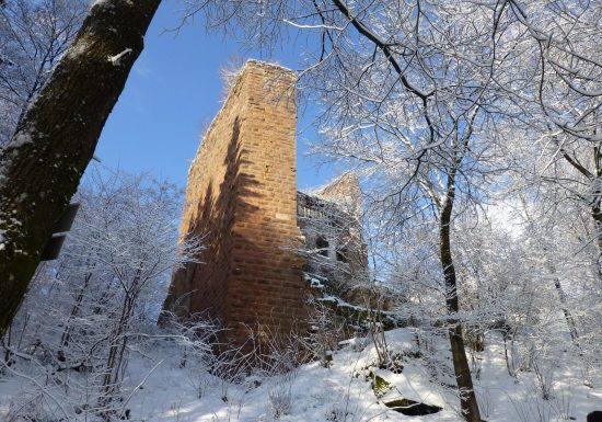 Château de la Wasenbourg